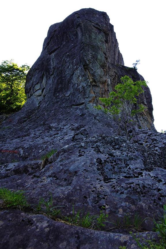 b0062024_735116.jpg