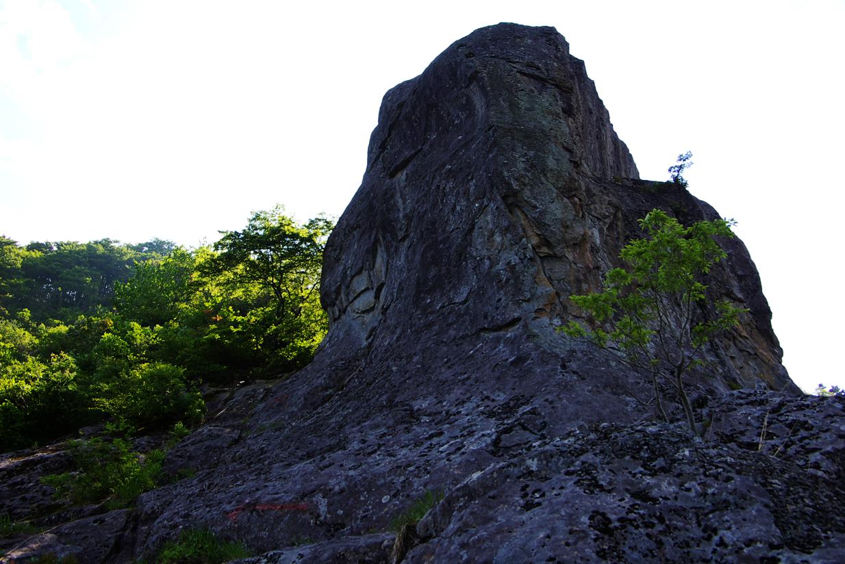 b0062024_743644.jpg