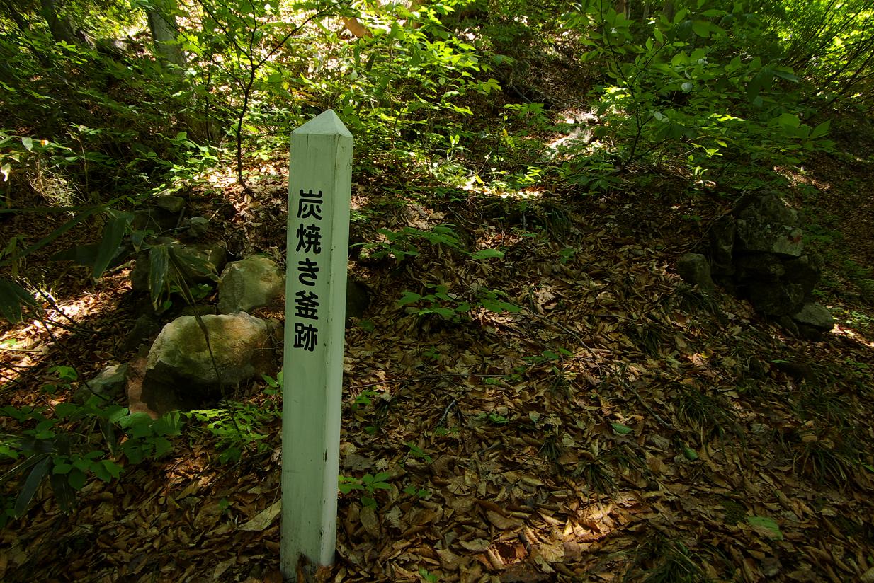 b0062024_754341.jpg