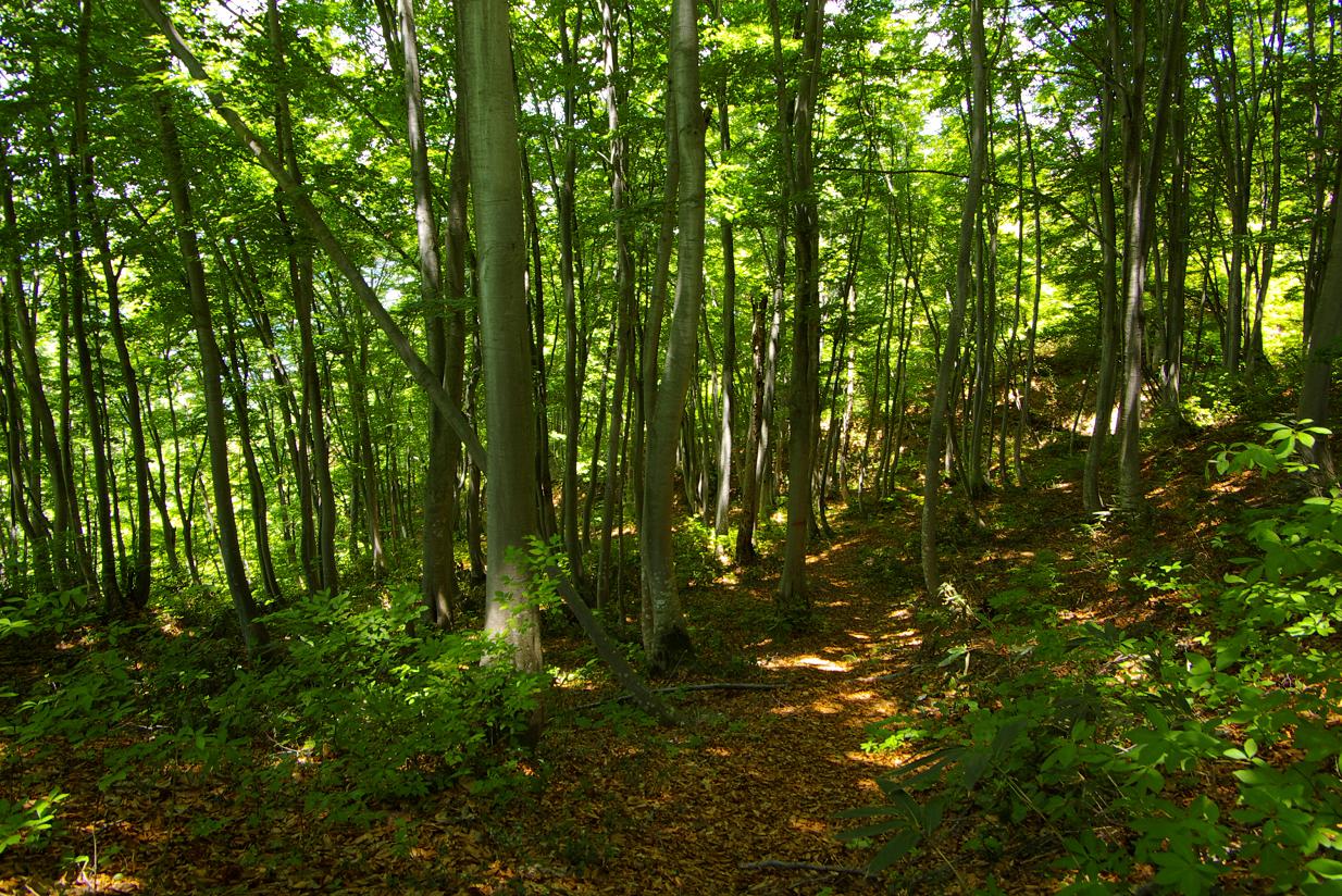 b0062024_7544725.jpg