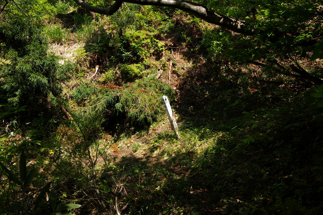 b0062024_8102331.jpg