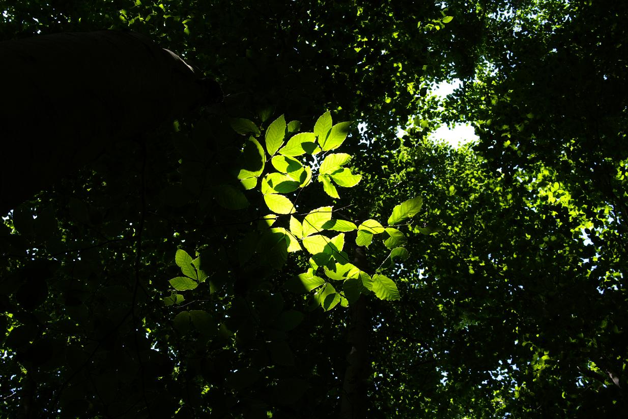 b0062024_88984.jpg