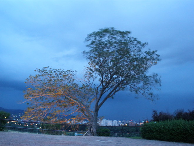 a0163227_5594043.jpg
