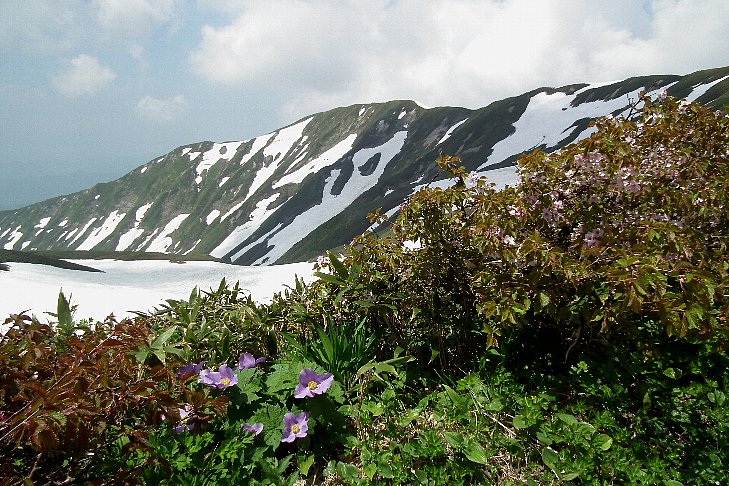 f0118332_2375418.jpg