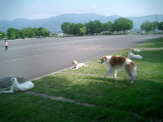 c0114833_9162918.jpg