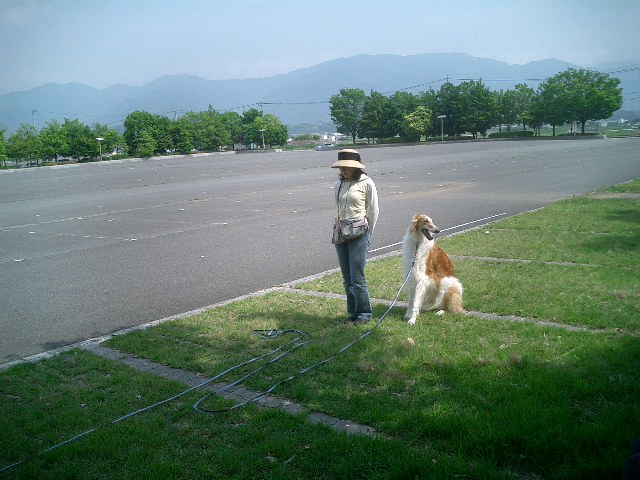 c0114833_9222062.jpg