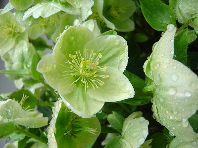 f0205733_12122731.jpg