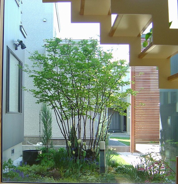 f0205733_1285713.jpg