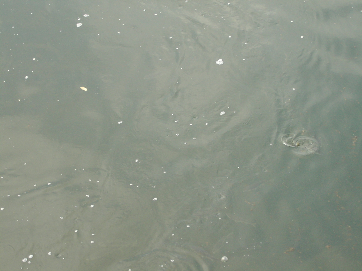 d0013834_1312856.jpg