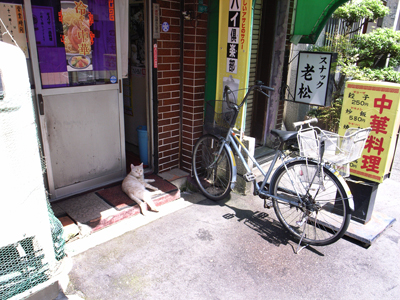 a0097735_04732.jpg