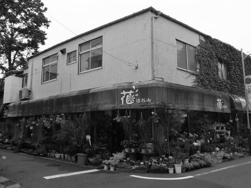 c0111535_23171461.jpg