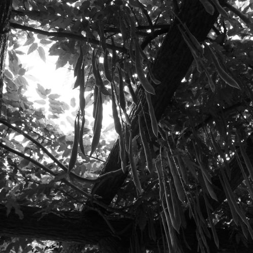 c0111535_23202829.jpg