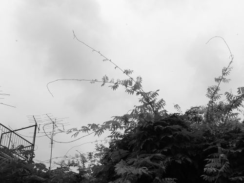 c0111535_23204357.jpg