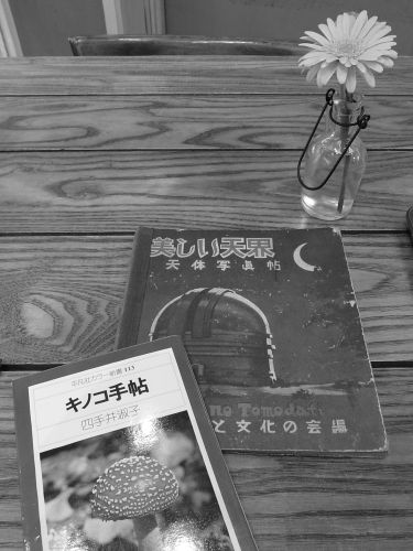 c0111535_23214377.jpg