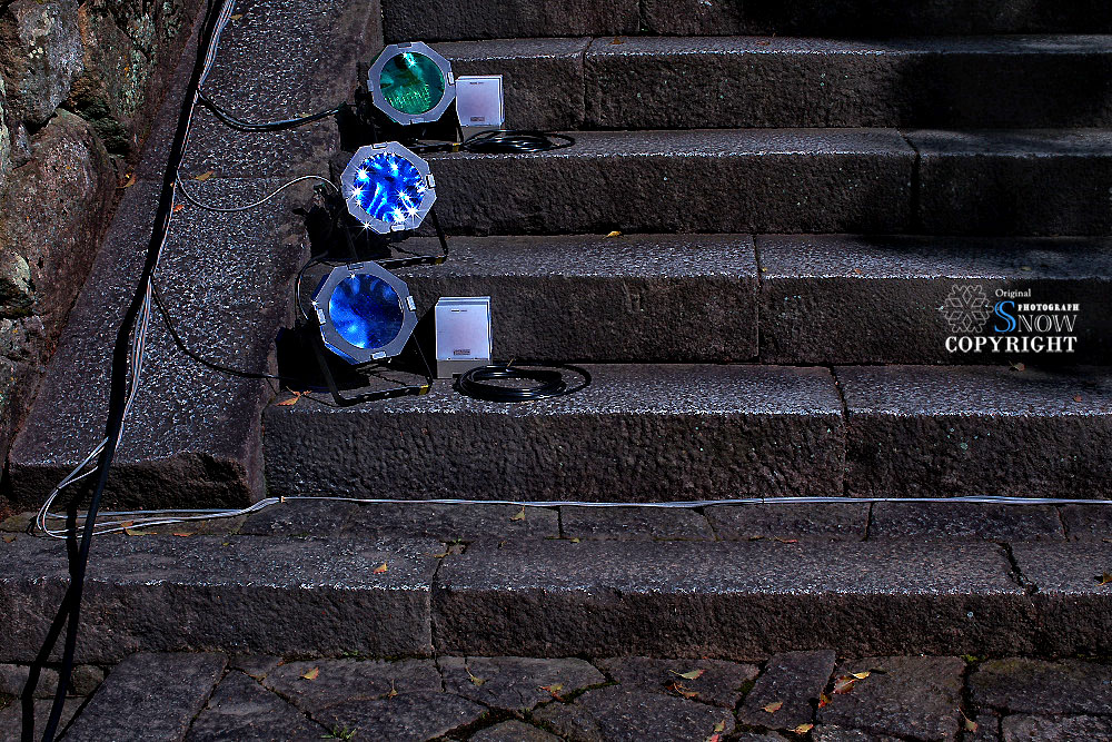 Canon EOS-5D MarkⅡ & EF 50 F1.2L USM