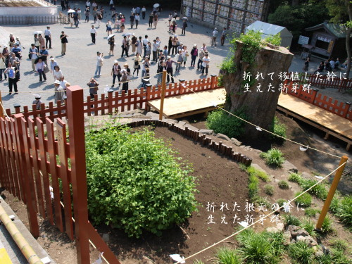 b0012636_2272164.jpg