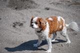 c0136838_217349.jpg