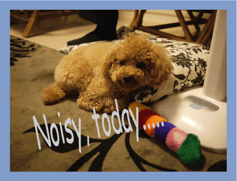 b0182846_2246551.gif