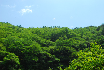 e0156247_23491274.jpg