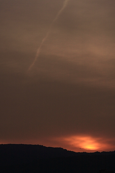 a0024250_0482482.jpg