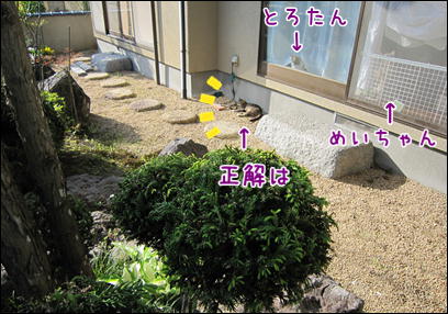d0139352_1243260.jpg