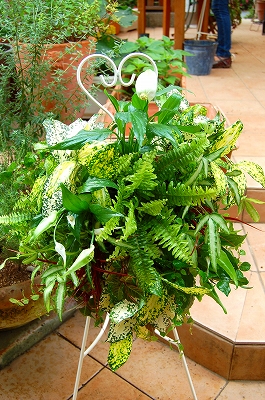 e0025655_7115258.jpg