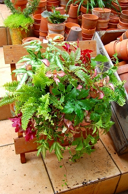 e0025655_7134192.jpg