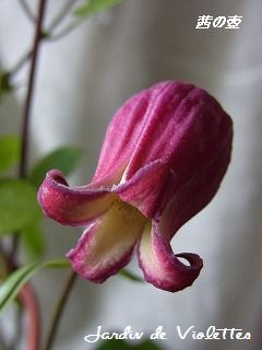 e0118257_16351941.jpg