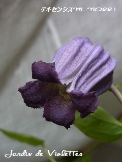 e0118257_1641868.jpg