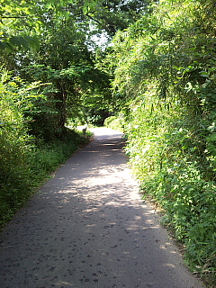 a0157160_21364940.jpg