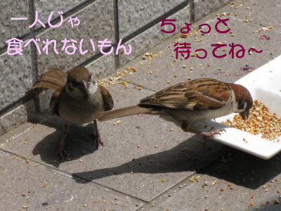b0158061_21215450.jpg