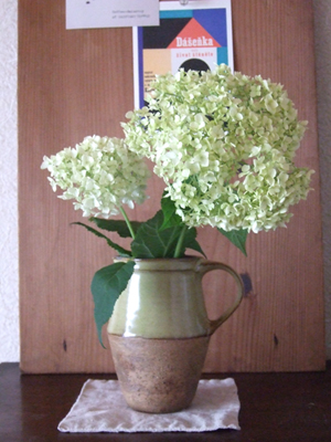 c0011862_1001358.jpg