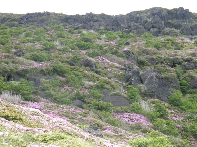 c0042869_19164234.jpg