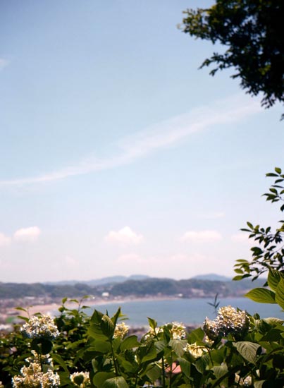 e0164571_9495316.jpg