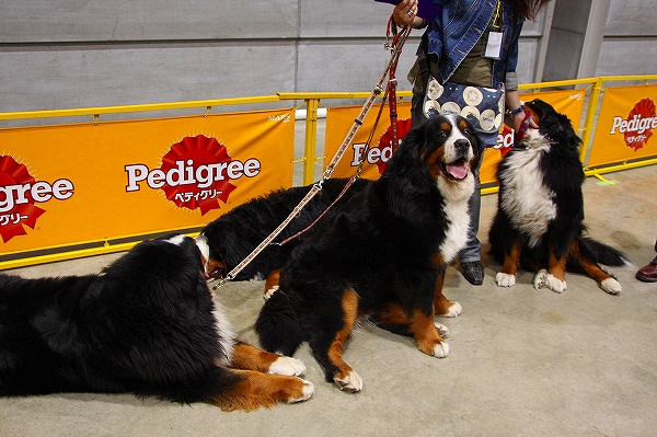 c0149178_11463880.jpg