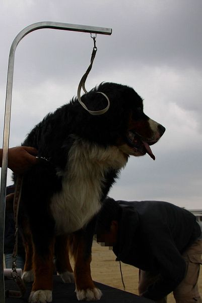 c0149178_124117.jpg