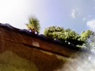 f0075779_8181262.jpg