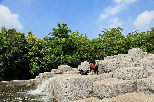 e0190885_18145973.jpg