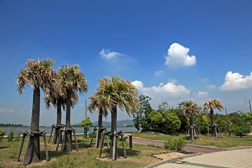 e0190885_18191783.jpg