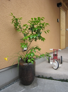 c0160488_23262460.jpg