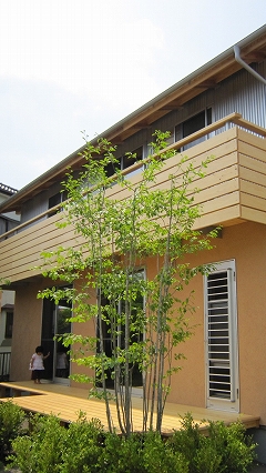 c0160488_23271320.jpg