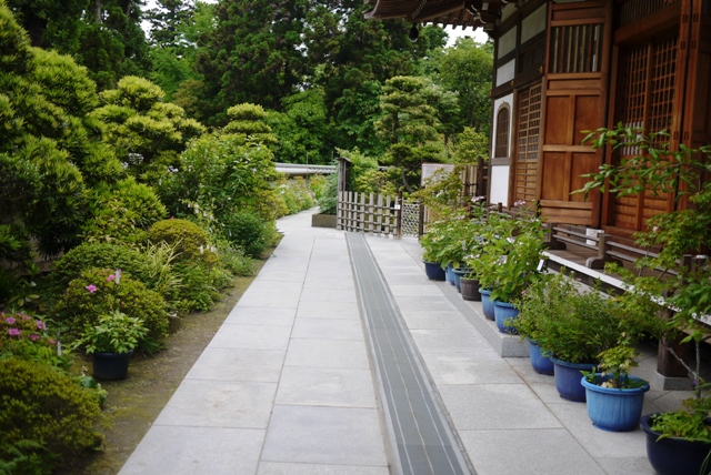 a0127090_1646058.jpg