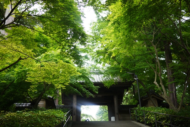 a0127090_168381.jpg