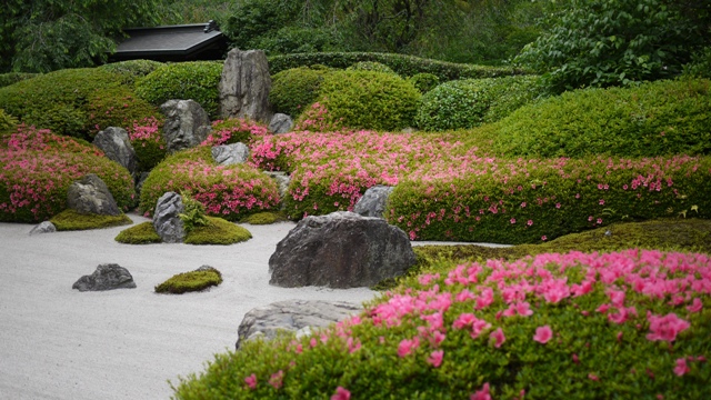 a0127090_9522246.jpg