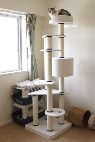 詳細はここをポチっで楽天のページが開くよ タワー全体像