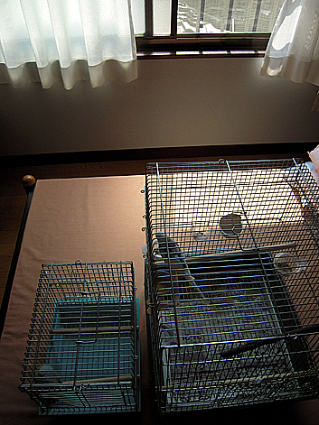 d0131293_15441866.jpg