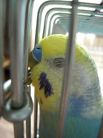 d0131293_15451014.jpg