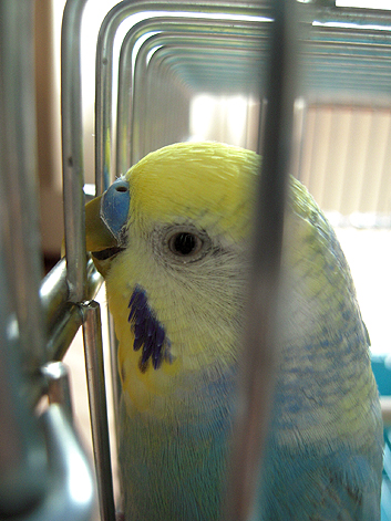 d0131293_15452088.jpg