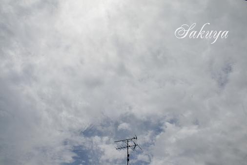 e0122194_1845396.jpg