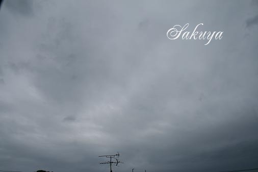 e0122194_1855152.jpg